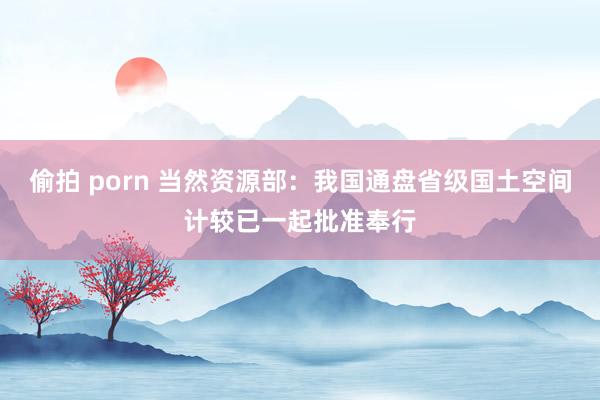 偷拍 porn 当然资源部：我国通盘省级国土空间计较已一起批准奉行
