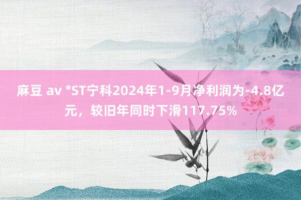 麻豆 av *ST宁科2024年1-9月净利润为-4.8亿元，较旧年同时下滑117.75%