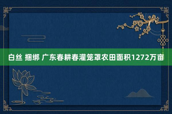 白丝 捆绑 广东春耕春灌笼罩农田面积1272万亩