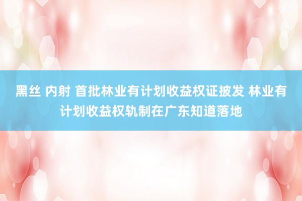 黑丝 内射 首批林业有计划收益权证披发 林业有计划收益权轨制在广东知道落地