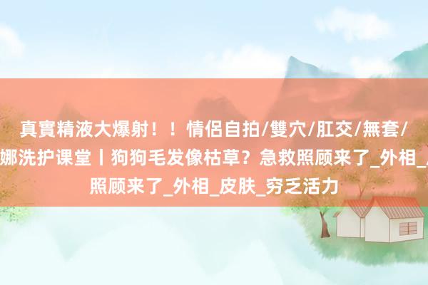 真實精液大爆射！！情侶自拍/雙穴/肛交/無套/大量噴精 伊珊娜洗护课堂丨狗狗毛发像枯草？急救照顾来了_外相_皮肤_穷乏活力
